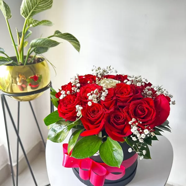 Arreglo de rosas a Domicilio Bogotá – Tambor de Rosas