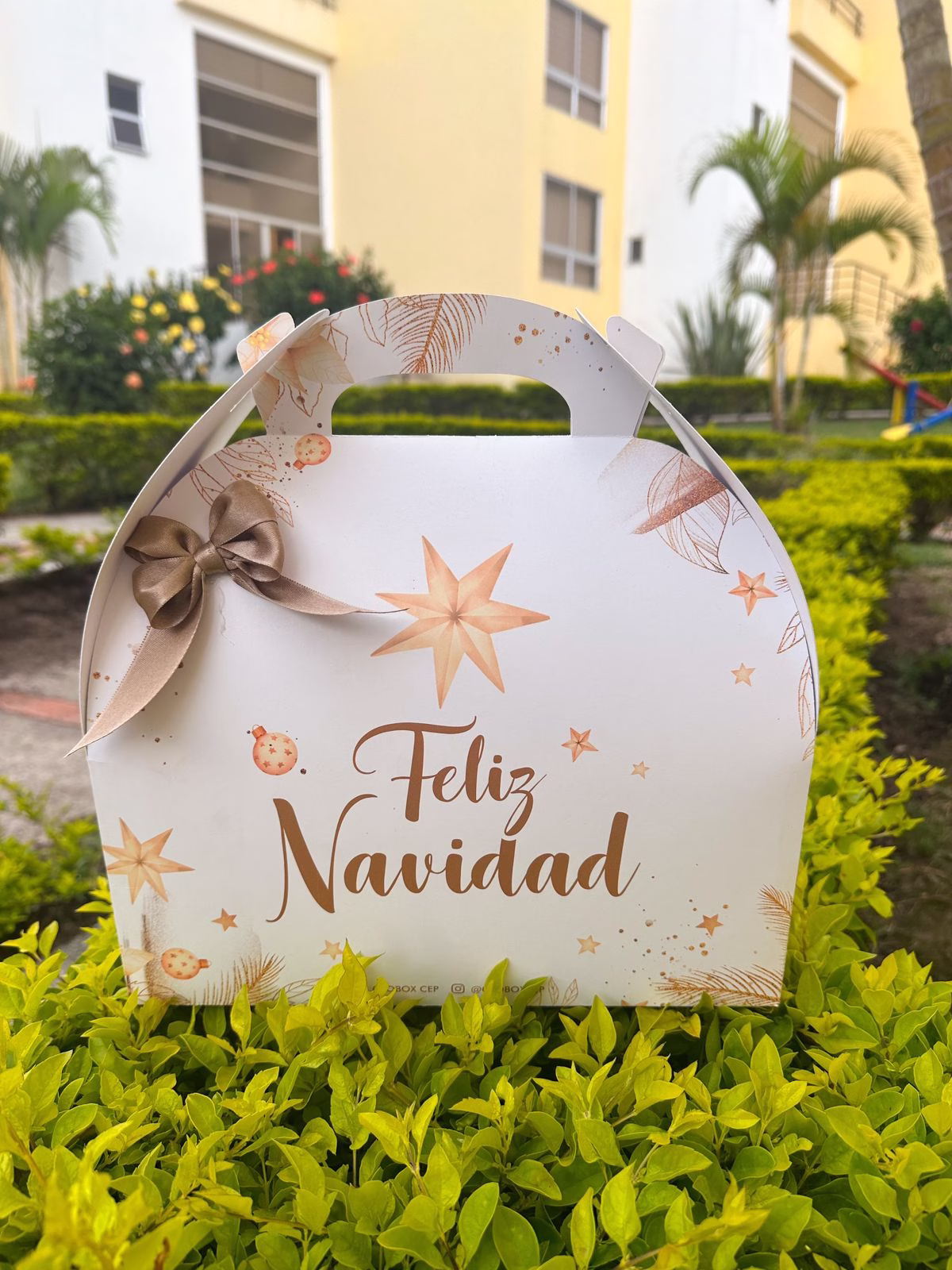 Maletín Navideño corporativo con vino, galletas, pistachos y bambalina.